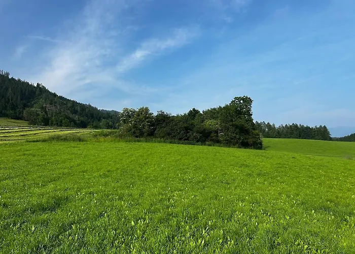 公寓 Tinyhome Murtal -slowcamping 丰斯多夫